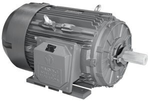 3 Phase Motor